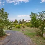 Haris Papa Kallithea Halkidiki 2