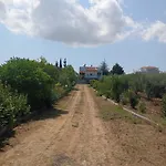 Haris Papa Kallithea Halkidiki 2 Áfitos