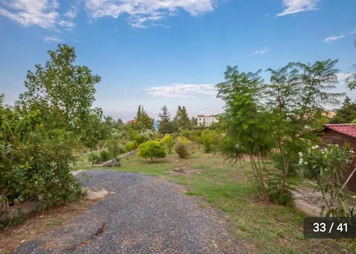 Haris Papa Kallithea Halkidiki 2