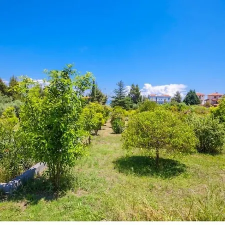 Haris Papa Kallithea Halkidiki 2 Villa Áfitos