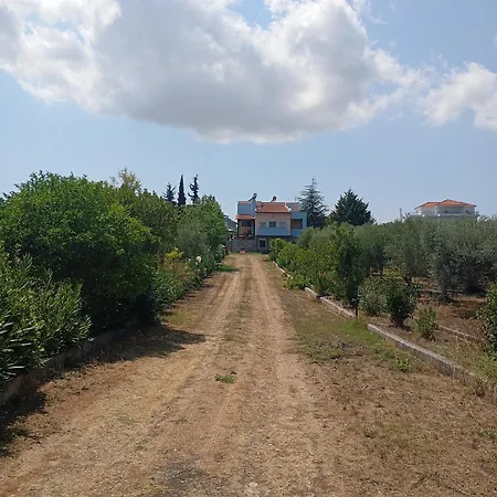 Haris Papa Kallithea Halkidiki 2 Áfitos