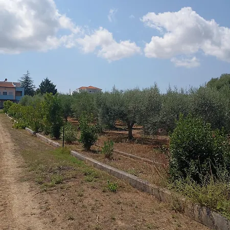 Villa Haris Papa Kallithea Halkidiki 2