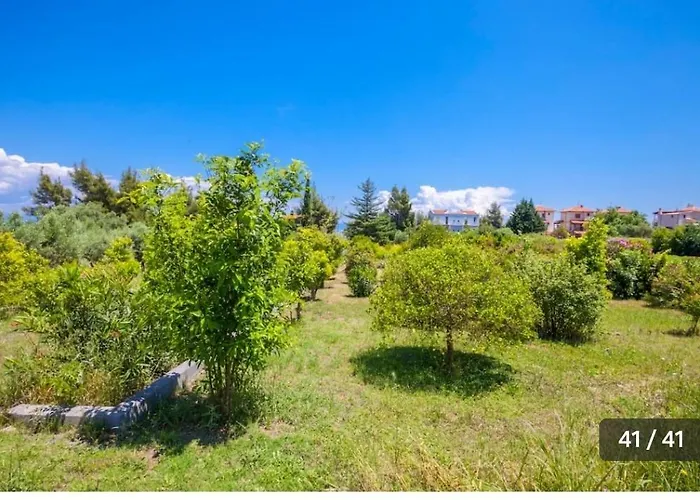 Haris Papa Kallithea Halkidiki 2 Villa Afytos