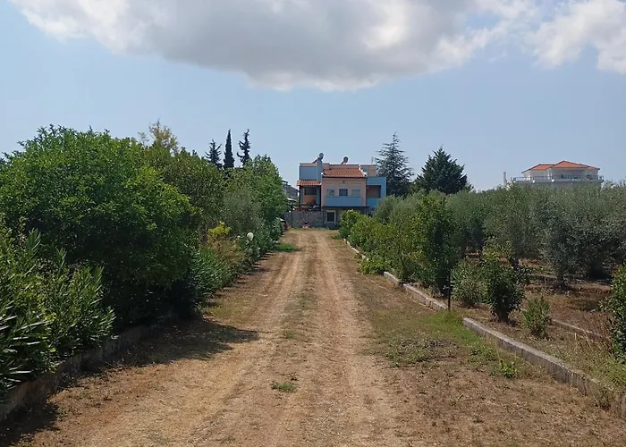 Haris Papa Kallithea Halkidiki 2 Afytos